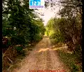 Снимка 3 — Парцел в Плевен, с. Сухаче