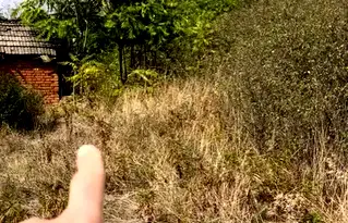 Парцел в Плевен, с. Сухаче