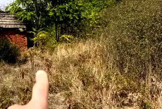 Парцел в Плевен, с. Сухаче