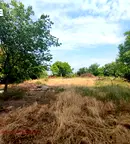 Парцел в Плевен, с. Тодорово