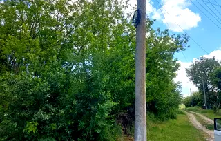 Парцел в Плевен, с. Тученица