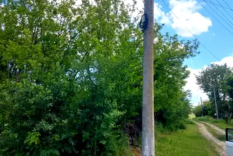 Парцел в Плевен, с. Тученица