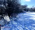 Снимка 2 — Парцел в Плевен, с. Върбица