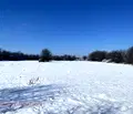 Снимка 3 — Парцел в Плевен, с. Върбица