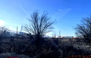 Парцел в Пловдив, Асенов