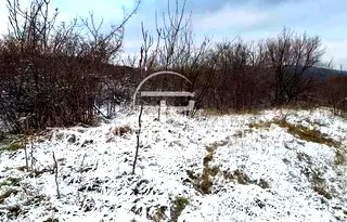 Парцел в Пловдив, Асенов
