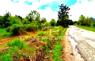 Парцел в Пловдив, Асенов
