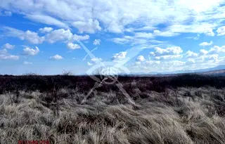 Парцел в Пловдив, Асенов