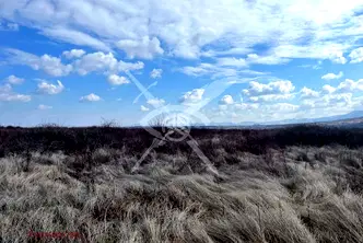 Парцел в Пловдив, Асенов
