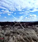 Парцел в Пловдив, Асенов