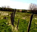 Снимка 4 — Парцел в Пловдив, Хисаря