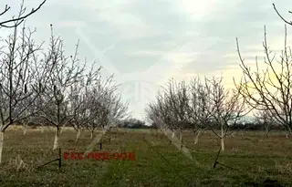 Парцел в Пловдив, Карлово