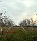 Парцел в Пловдив, Карлово