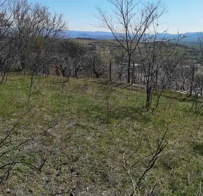 Photo 2 — Plot in Oblast Plovdiv, Karlovo