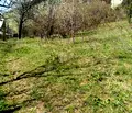 Снимка 5 — Парцел в Пловдив, Карлово