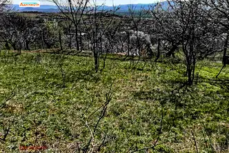 Парцел в Пловдив, Карлово