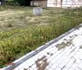 Снимка 4 — Парцел в Пловдив, Карлово