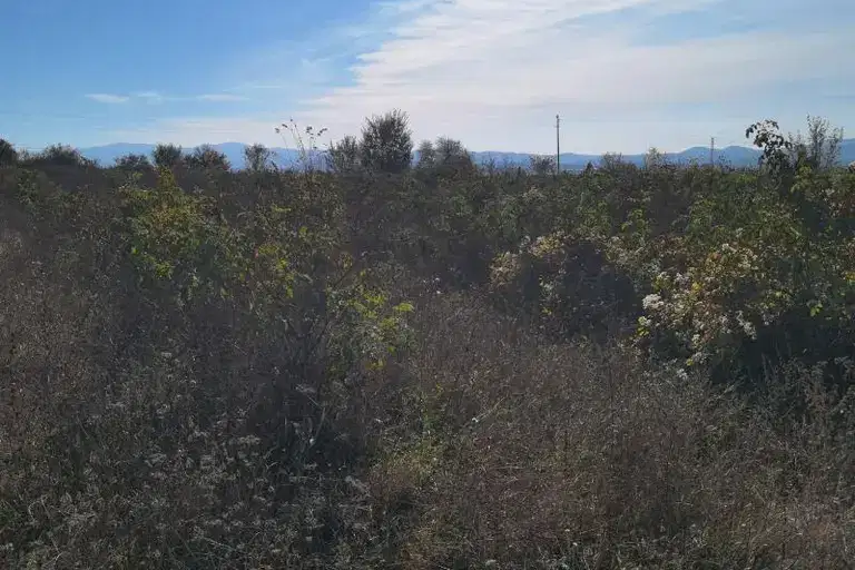 Парцел в Пловдив, Карлово