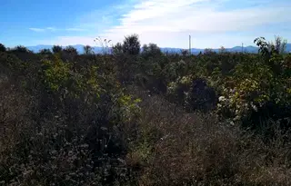 Парцел в Пловдив, Карлово