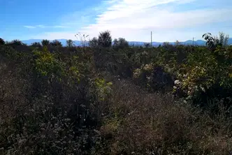 Парцел в Пловдив, Карлово