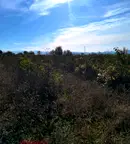 Парцел в Пловдив, Карлово