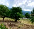 Снимка 4 — Парцел в Пловдив, Карлово