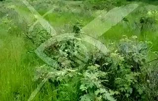 Парцел в Пловдив, Карлово