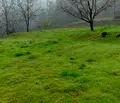 Снимка 4 — Парцел в Пловдив, Куклен