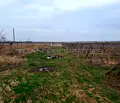 Снимка 4 — Парцел в Пловдив, Куклен