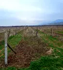 Парцел в Пловдив, Куклен