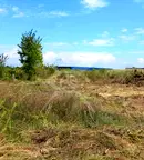 Парцел в Пловдив, Куклен