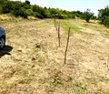 Снимка 4 — Парцел в Пловдив, Куклен