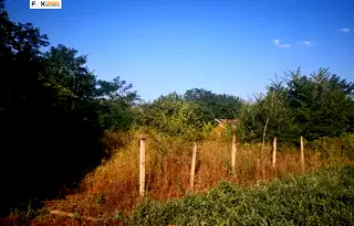 Парцел в Пловдив, Перущица