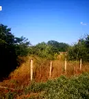 Парцел в Пловдив, Перущица