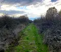 Снимка 5 — Парцел в Пловдив, Първомай