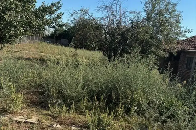 Парцел в Пловдив, Раковски