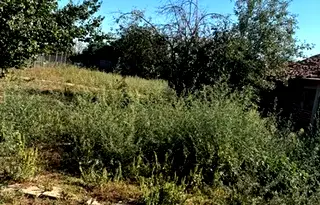 Парцел в Пловдив, Раковски