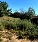 Парцел в Пловдив, Раковски