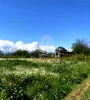 Парцел в Пловдив, Садово