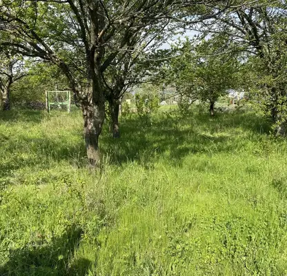 Снимка 3 — Парцел в Пловдив, Сопот