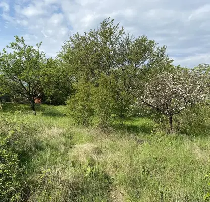 Снимка 5 — Парцел в Пловдив, Сопот