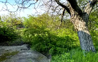 Парцел в Пловдив, Сопот