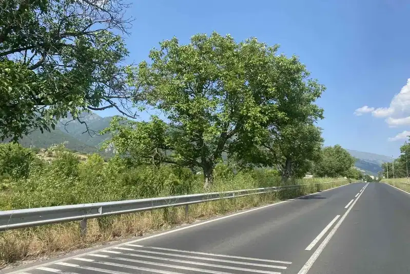 Парцел в Пловдив, Сопот