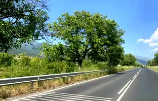 Парцел в Пловдив, Сопот