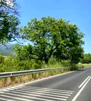 Парцел в Пловдив, Сопот