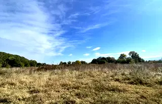 Парцел в Пловдив, Стамболийски