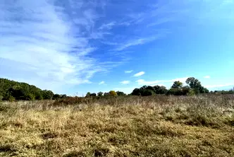 Парцел в Пловдив, Стамболийски
