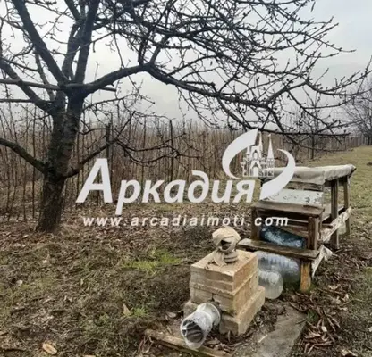Photo 5 — Plot in Oblast Plovdiv, Stamboliiski