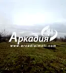 Парцел в Пловдив, Стамболийски