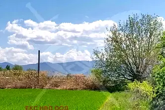 Парцел в Пловдив, Стамболийски